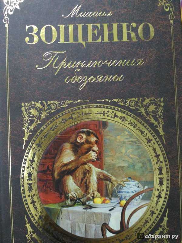 Рассказ встреча читать онлайн полностью, зощенко м. м.