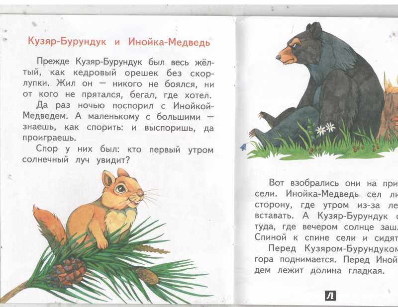Музыкант — читать с картинками — бианки виталий ✍ библиотека школьника > электронный ресурс