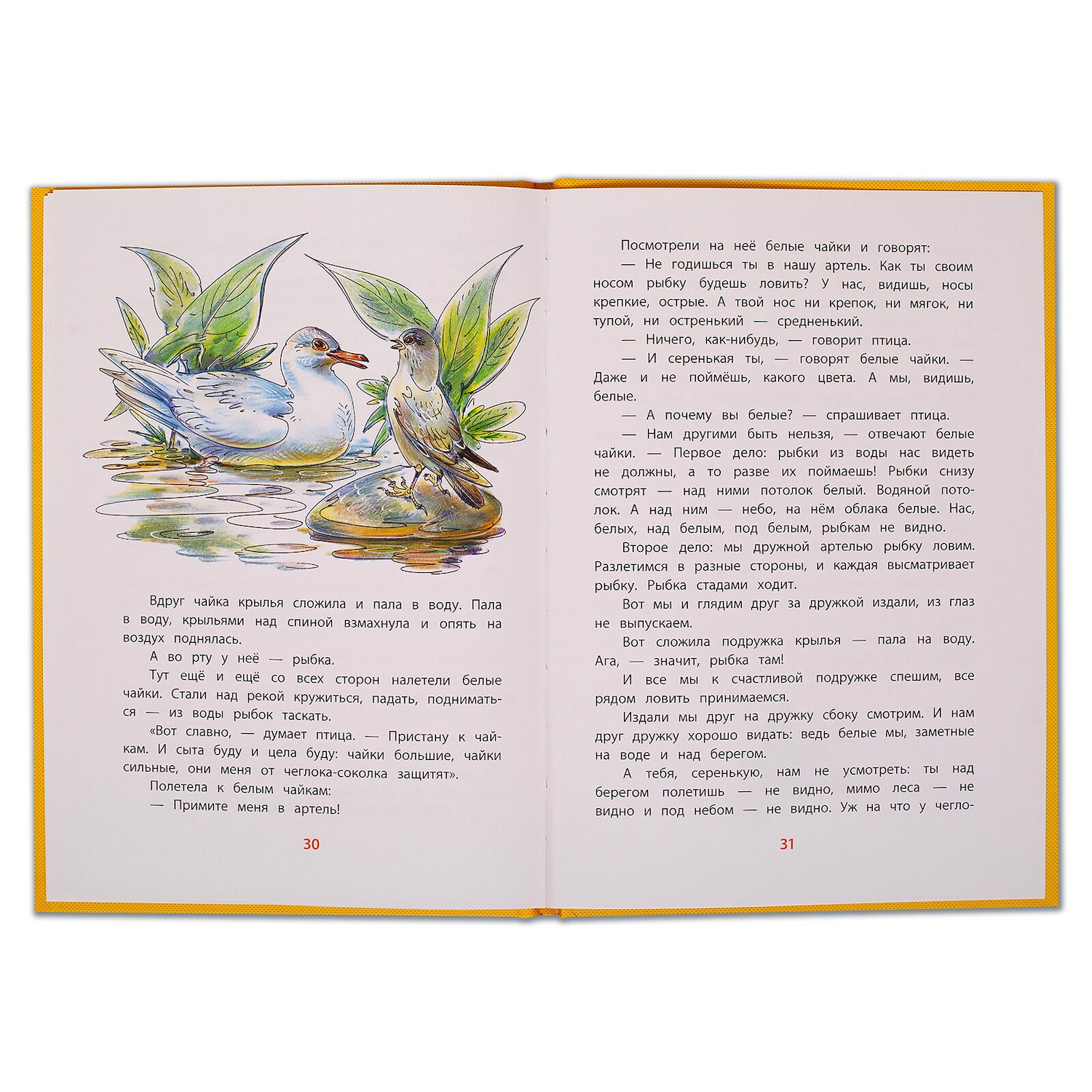 Сказки-несказки: почему чайки белые - сказки бианки: читать с картинками, иллюстрациями - сказка dy9.ru