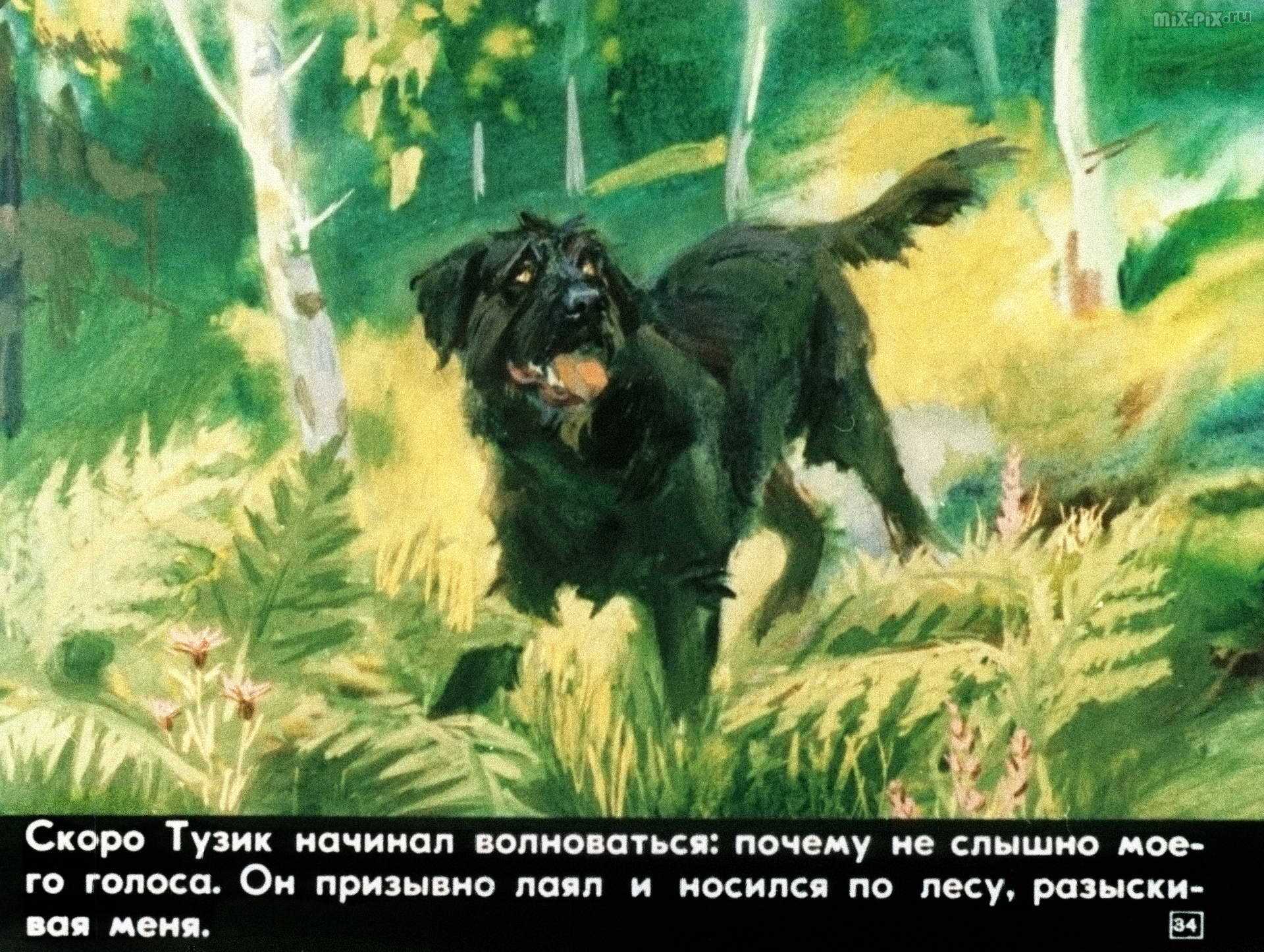 «картофельная собака» – шуфлядка — подписка на короткие рассказы