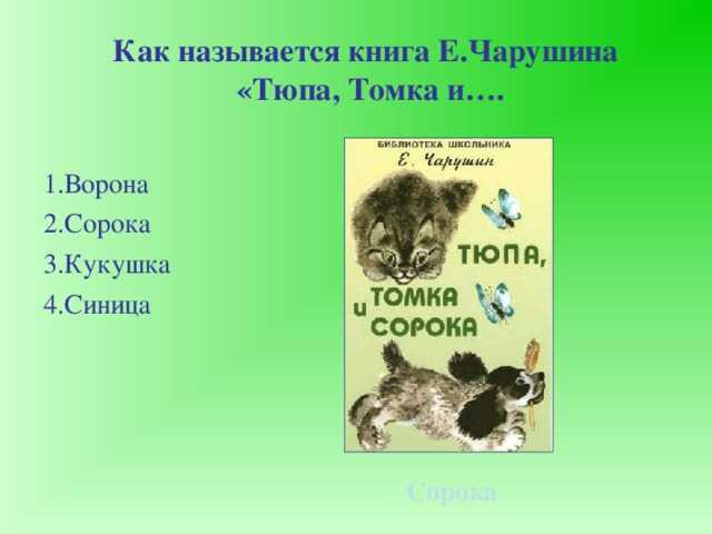 Е. чарушин «страшный рассказ. е чарушин страшный рассказ читать. чарушин е. и. художественные произведения о мире животных. евгений чарушин страшный рассказ иллюстрация к произведению евгения чарушина страшный рассказ