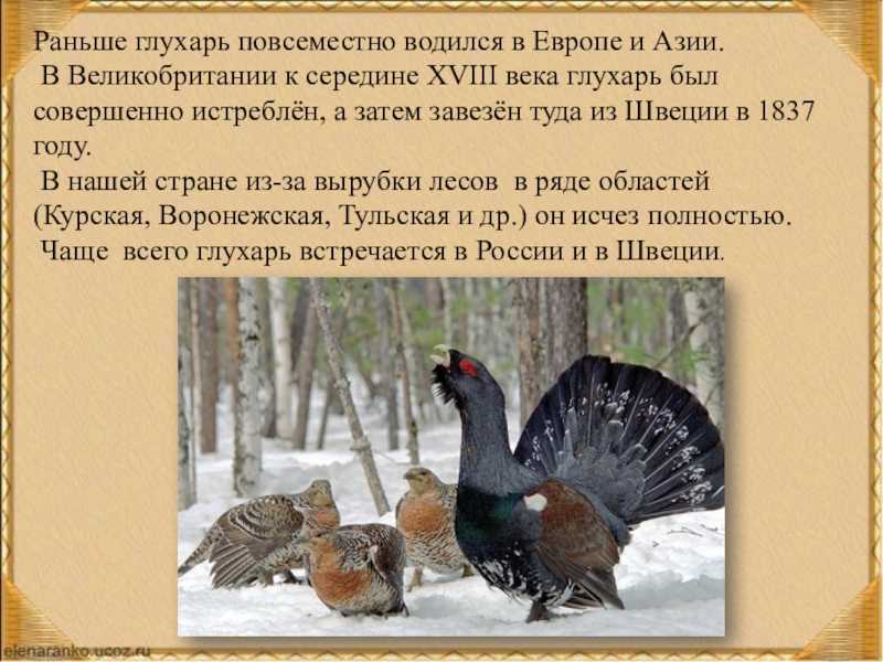 Повесть «царь – рыба». очень краткое и подробное содержание