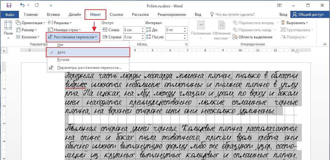 Разлинованные листы