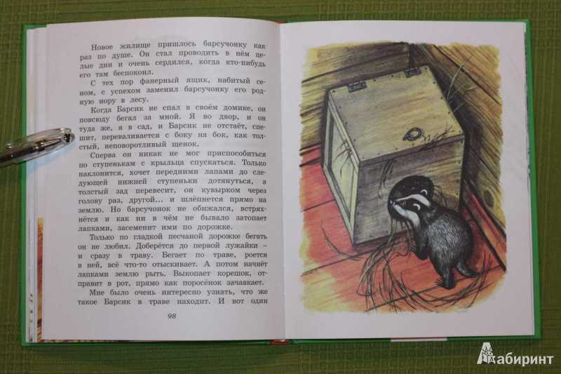 Георгий скребицкий - барсучонок » книги читать онлайн бесплатно без регистрации