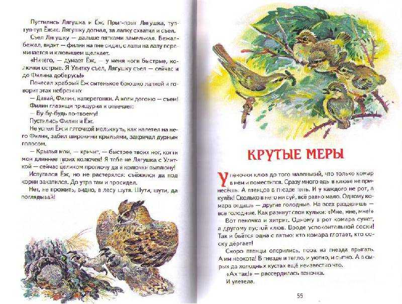 Н. сладков. рассказы для школьников