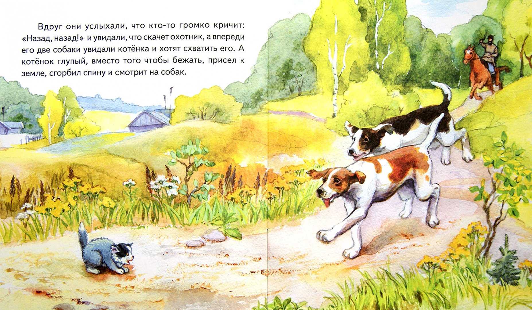 Главный герой котенок толстой – толстой "котенок", кто главные герои, какая главная мысль? - club-detstvo.ru
