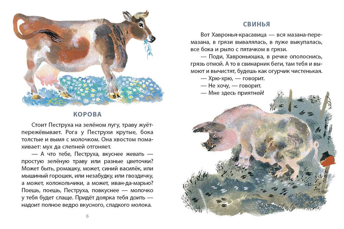 Чарушин е. и. рассказы о животных для детей