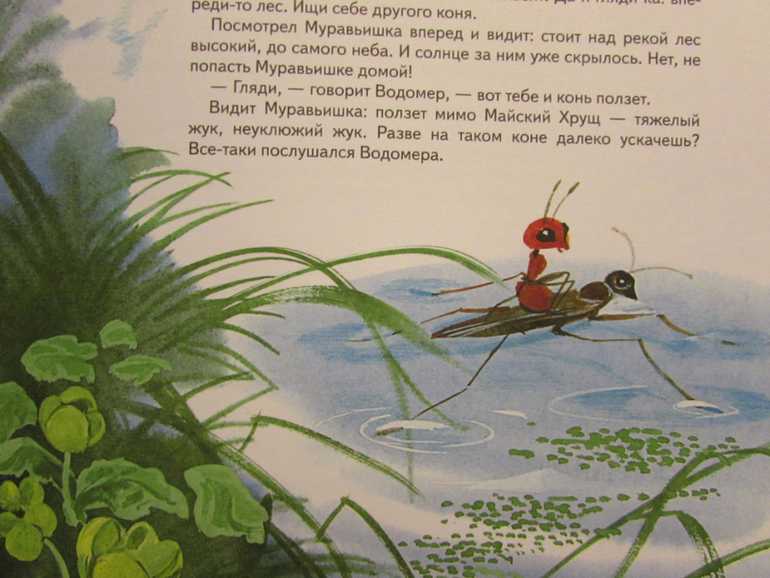 Сказка как муравьишка домой спешил - бианки в.в.