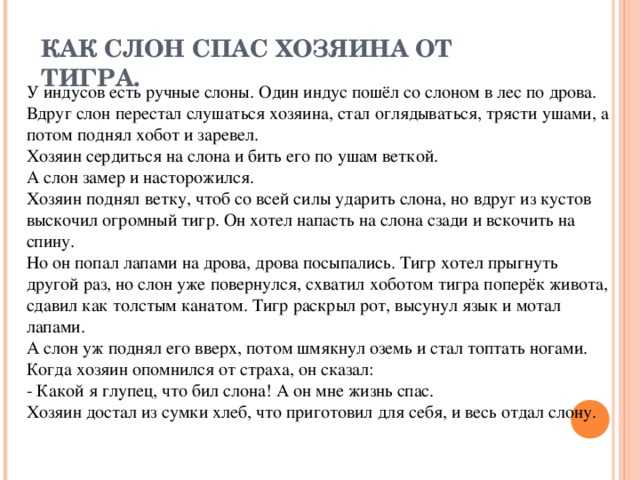 Как слон спас хозяина от тигра