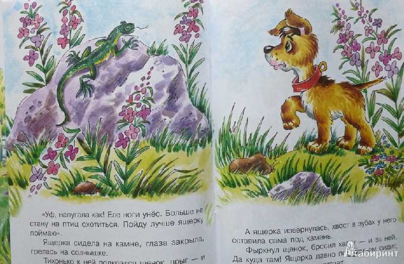 Виталий бианки ★ первая охота читать книгу онлайн бесплатно