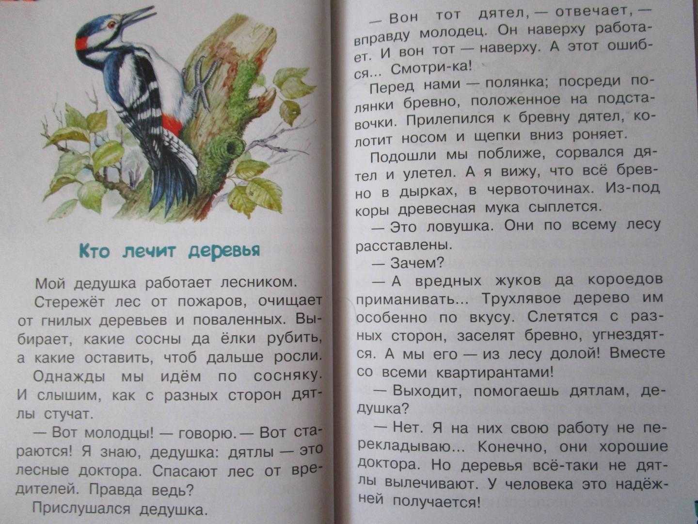 Книга лесные истории читать онлайн бесплатно, автор эдуард шим – fictionbook
