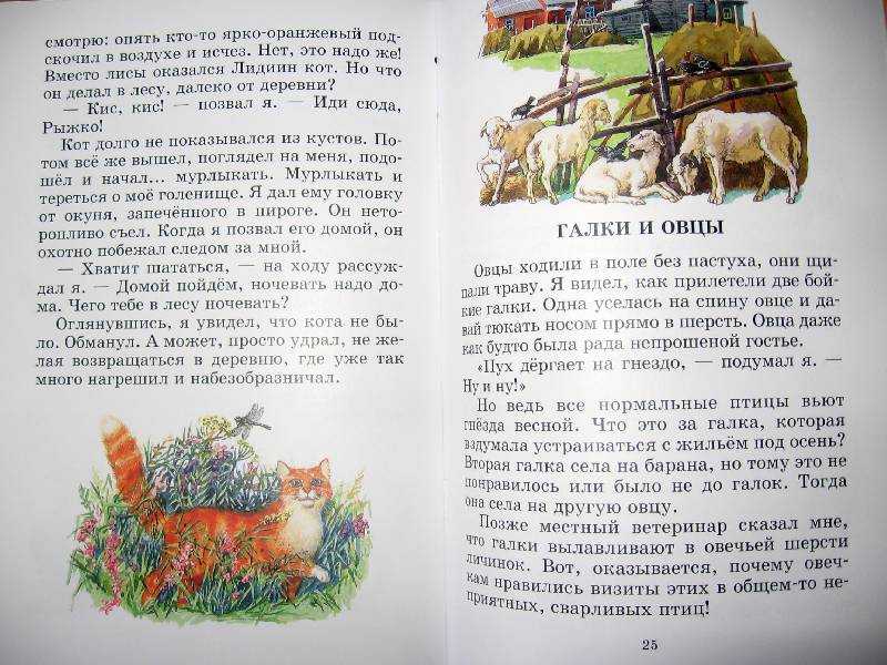 «плотницкие рассказы» за 8 минут. краткое содержание повести белова