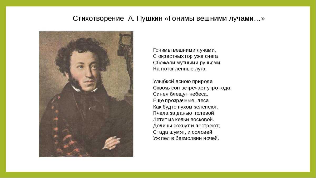 Александр пушкин 📜 воевода