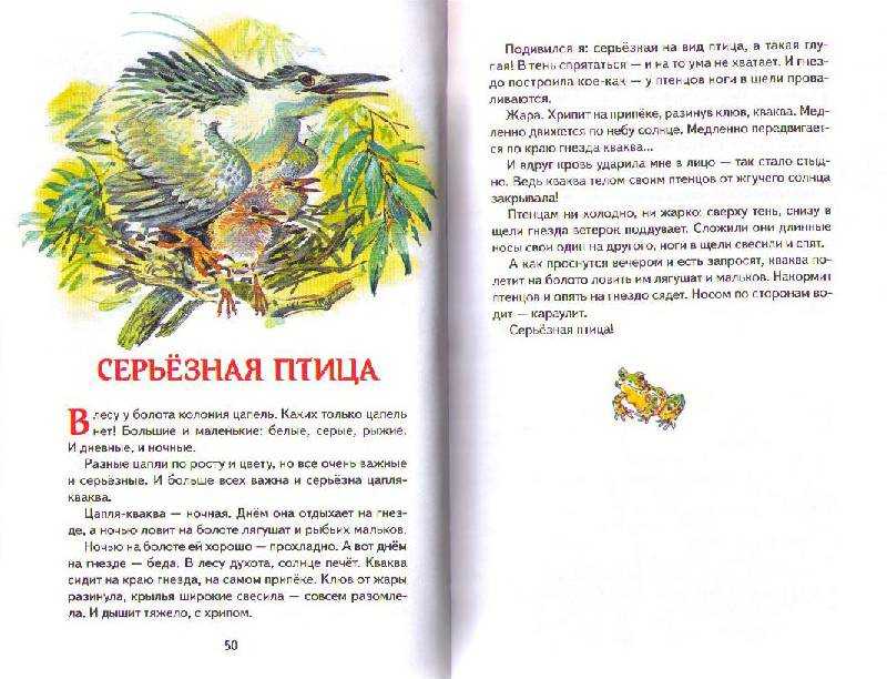 Рассказы сладкова для внеклассного чтения