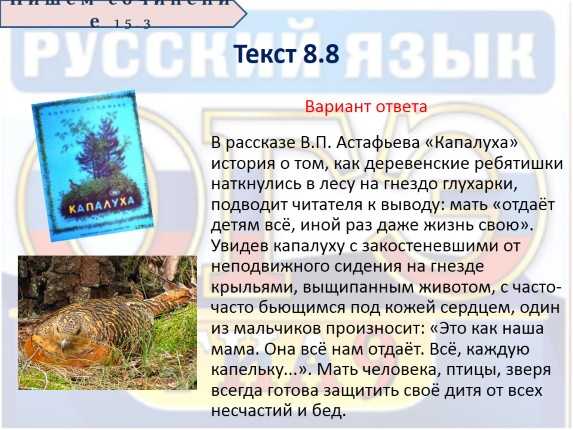 Астафьев виктор рассказ "капалуха" / читательский дневник 3 класс / гдз грамота