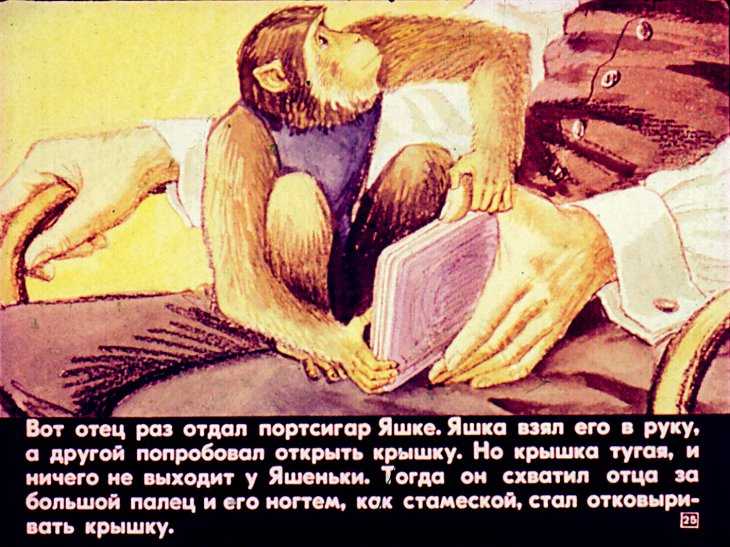Житков борис рассказ «про обезьянку»
