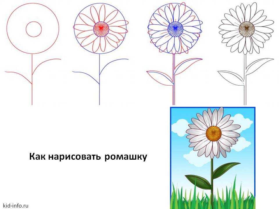 Рисунок по клеточкам в тетради для начинающих — 100 легких и маленьких рисунков