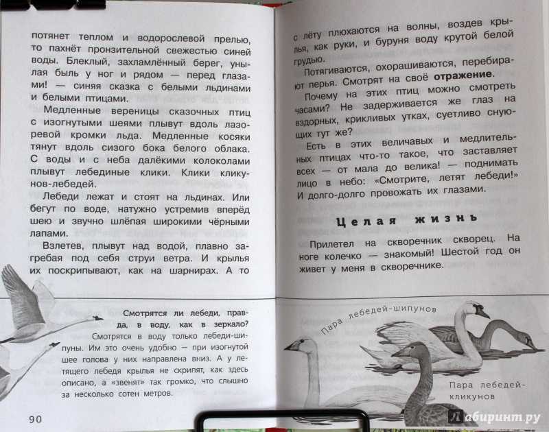 Бюро лесных услуг рассказ николая сладкова читать онлайн текст — сказка с картинками — читать онлайн » окружающий мир: уроки, полезные материалы для детей