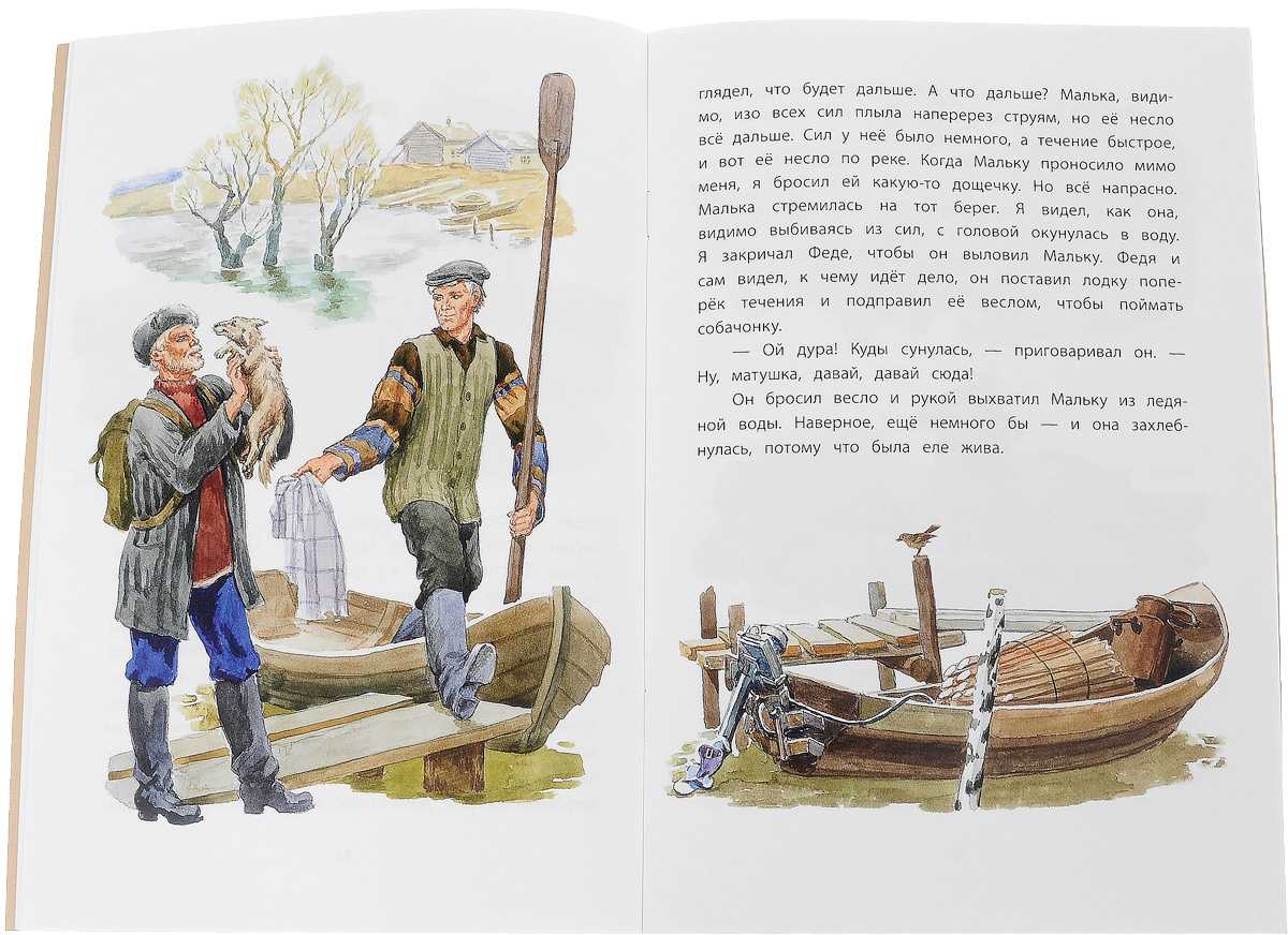 Читать сказку рассказы о всякой живности - белов в. - отечественные писатели, онлайн бесплатно с иллюстрациями.