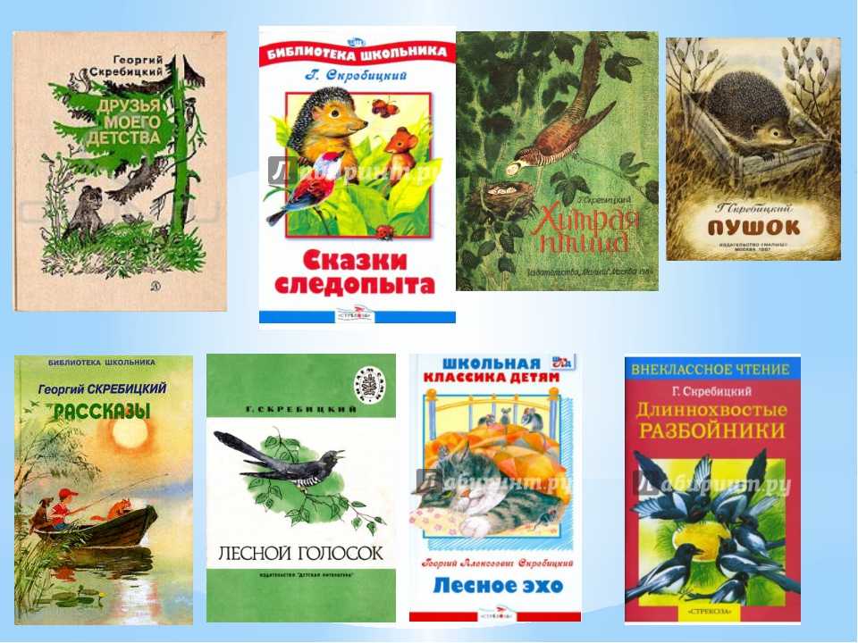 Рассказы о зиме и о животных зимой