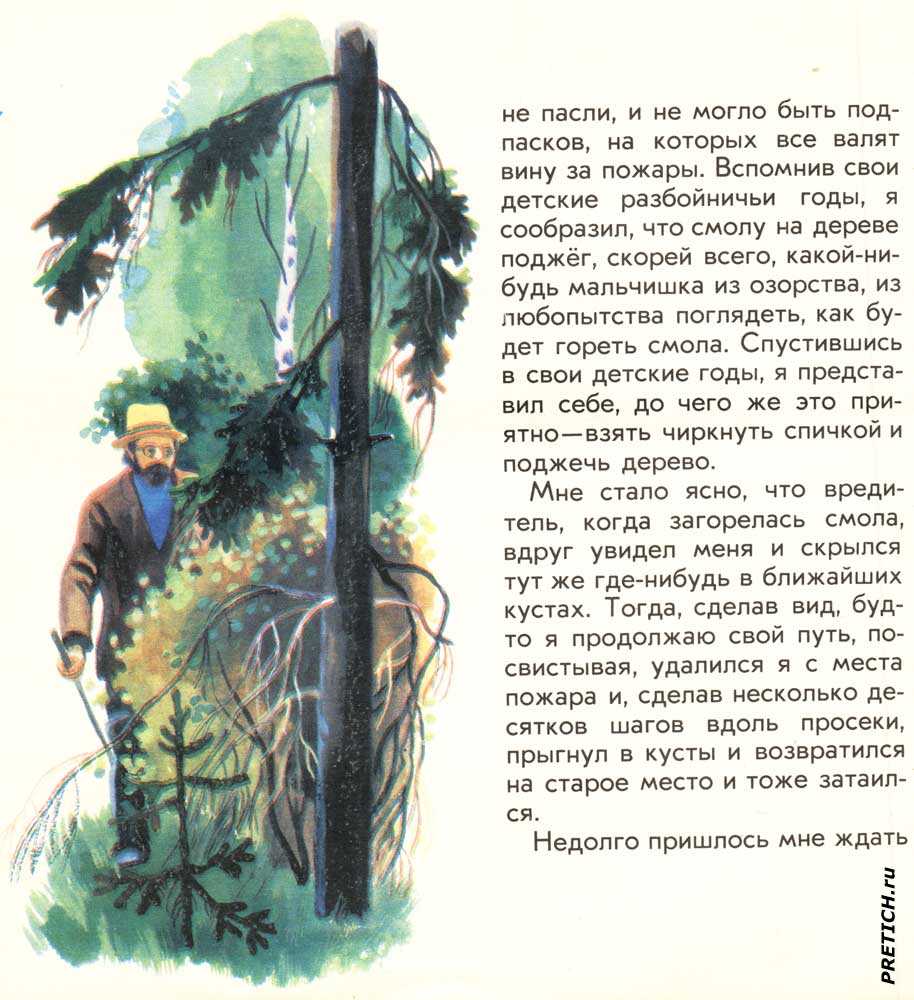 Рассказы о животных, 2-3 класс. михаил пришвин