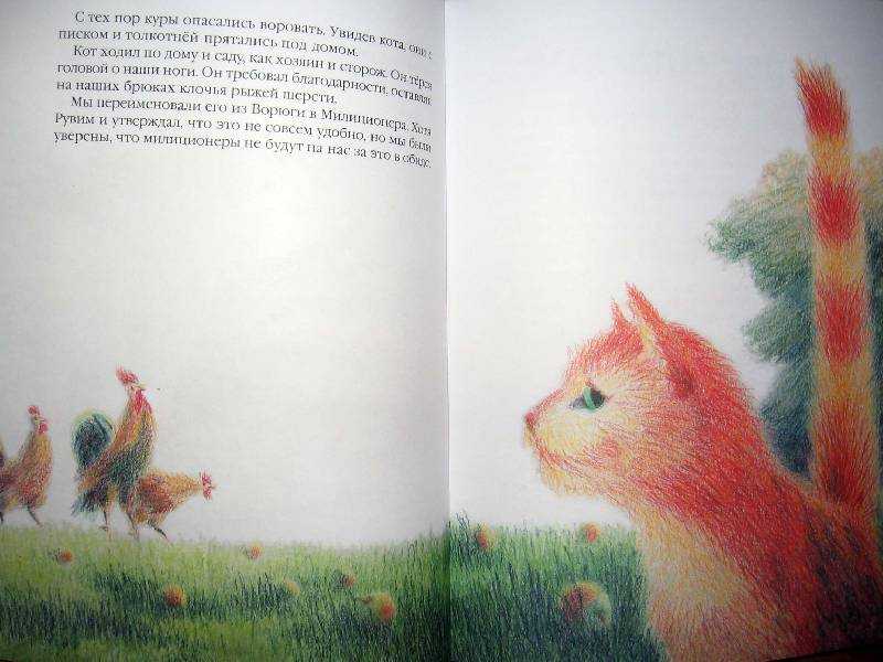 Константин паустовский: кот-ворюга