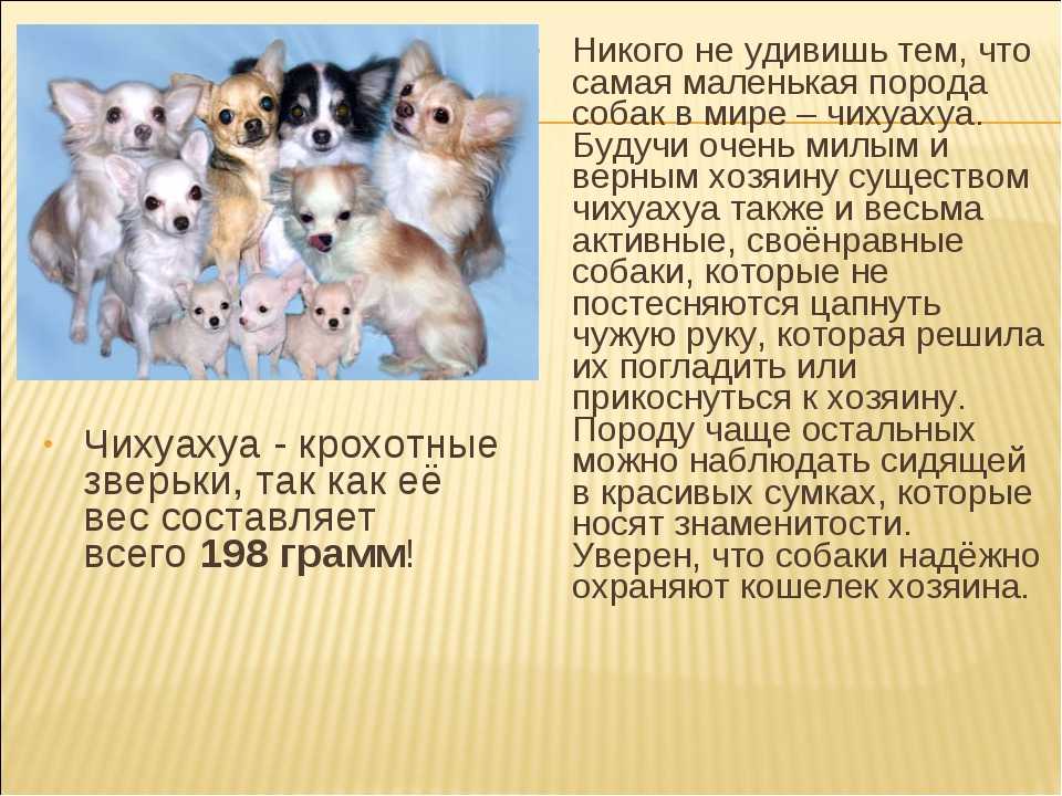 Короткие рассказы для детей. сухомлинский в. а.