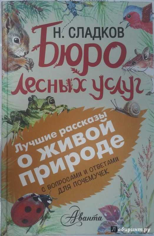 Николай сладков: бюро лесных услуг. с вопросами и ответами для почемучек