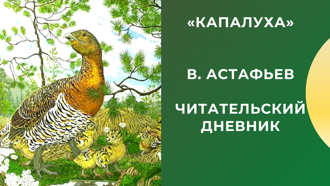 Рассказчик – мальчик Вместе с друзьями и учителем он гонит через тайгу телят попастись Туда, к альпийским уральским лугам На просеке под корнем дерева капалуха так охотники называют глухарок свила гнездо А в нем – 4 коричневых яйца Теплые: капалуха нагрел