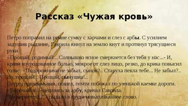 Чужая кровь - краткое содержание рассказа шолохова (сюжет произведения)
